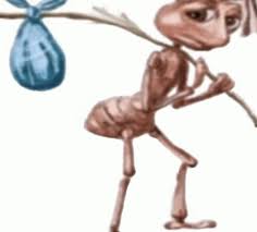 MewseTM's tweet image. "rain rain go away come again another day"

the rain: