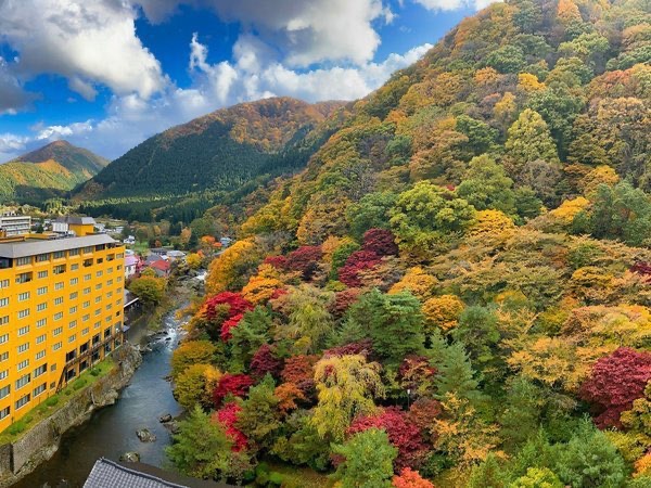 bozu_108's tweet photo. 秋田県の泊まってよかったホテル・旅館選手権

最優秀賞
秋田県鹿角市にある
四季彩り 秋田づくし 湯瀬ホテル
🍁シーズンにオススメ！！ https://t.co/tLlXWSva5J