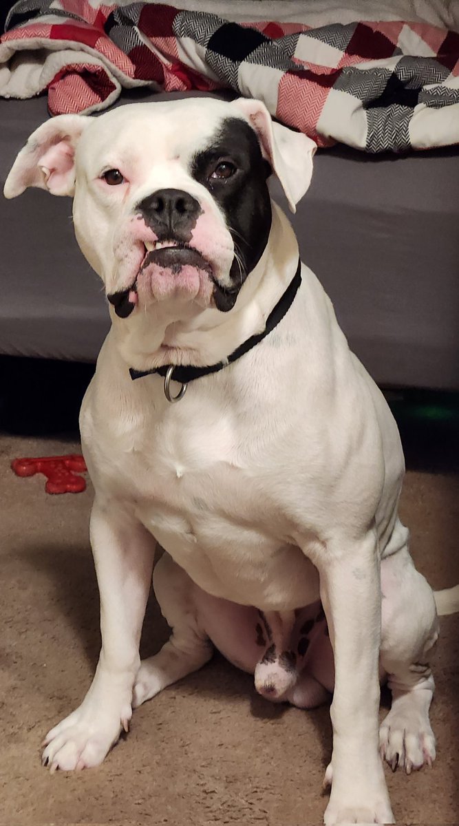 fatefromfiction tweet media