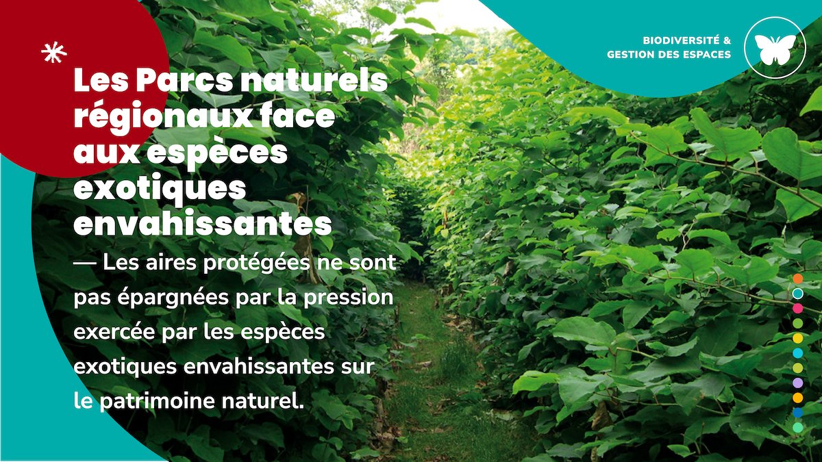 📢[Communiqué] Le réseau des Parcs est prêt à prendre part à la concertation proposée par la secrétaire d’État <a href="/sarahelhairy/">Sarah EL HAÏRY</a> sur les espèces exotiques envahissantes à la suite de la parution du rapport de l' <a href="/IPBES/">ipbes</a> ➡️ mediaconnect.com/les-parcs-natu…
