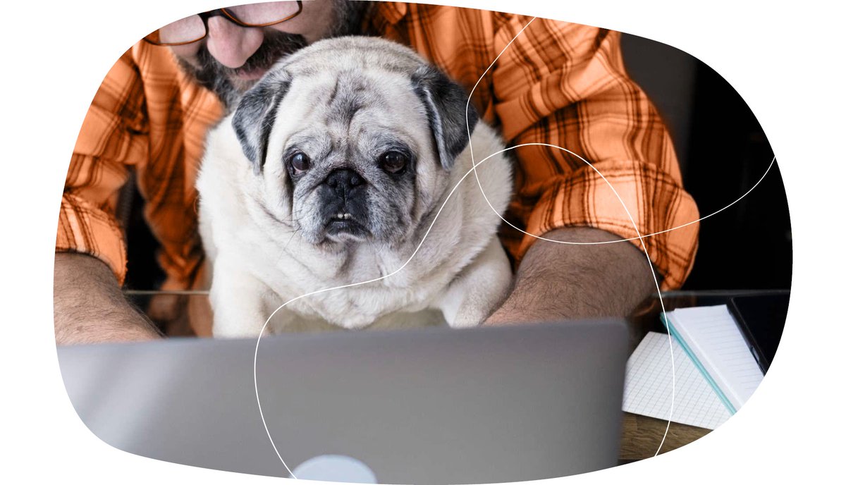 paperrockdocs's tweet image. Unsure of your #MinorityShareholder rights? Check out our blog post to learn what they are and why they matter! 

#PaperRockDocs has got you covered 🤓 paperrockdocs.com/minority-share…