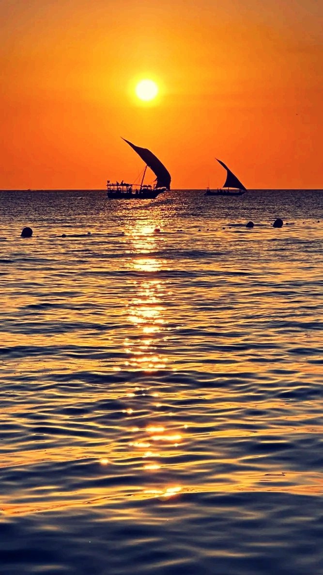 edwin_kazi2025's tweet photo. An astonishing sunset at the incredible paradise of Africa - Zanzibar island.

YOU CALL IT AFRICA, WE CALL IT HOME!

#zanzibarisland #beautifulzanzibar #beachlifestyle #beachvibes #beachlife #africa #magicindianocean #localtravelagency #localtouroperator #localtourguide https://t.co/OIwA7wygJc