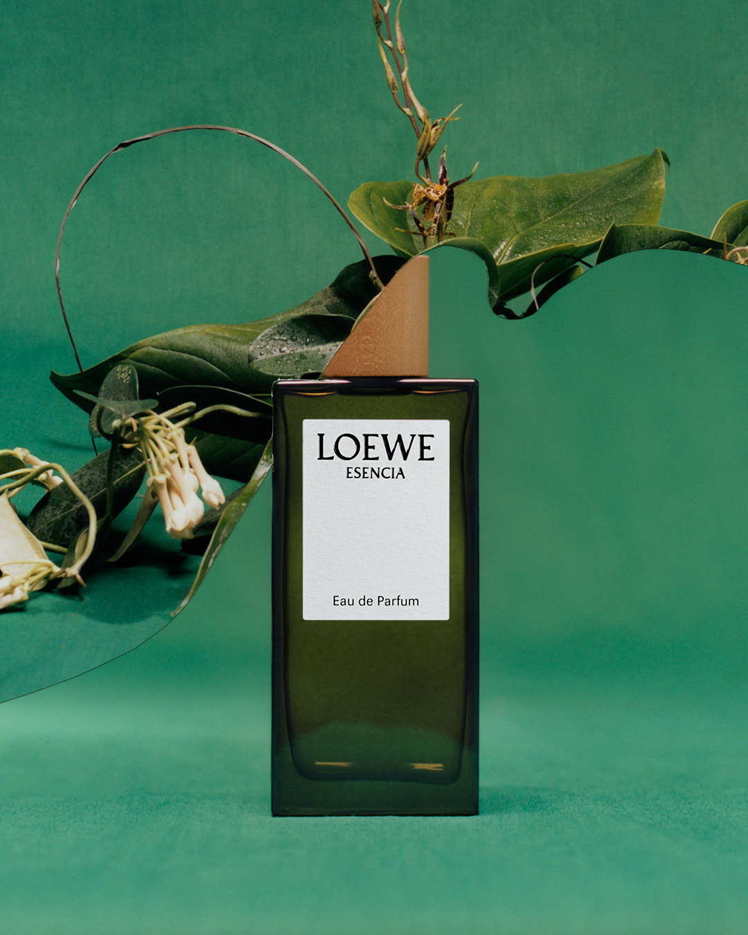 LOEWE on X: 