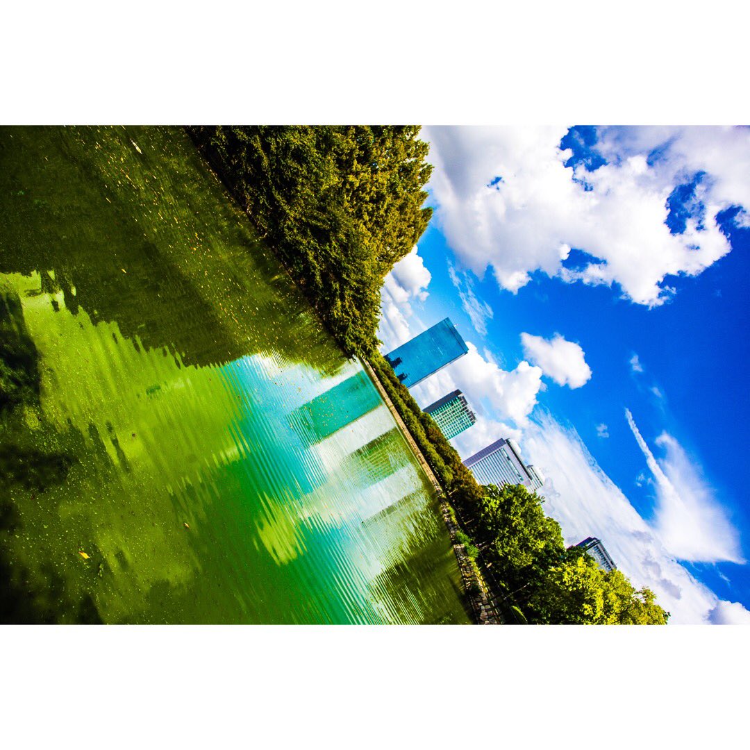 june08ofdraught's tweet photo. 大阪城かっけー！

#canon #tokyocameraclub #tokyo #art #photography #photograph #photographer #japan_art #ファインダー越しの私の世界 #カメラ好きな人と繋がりたい #大阪城 https://t.co/kLaRjfZjnm
