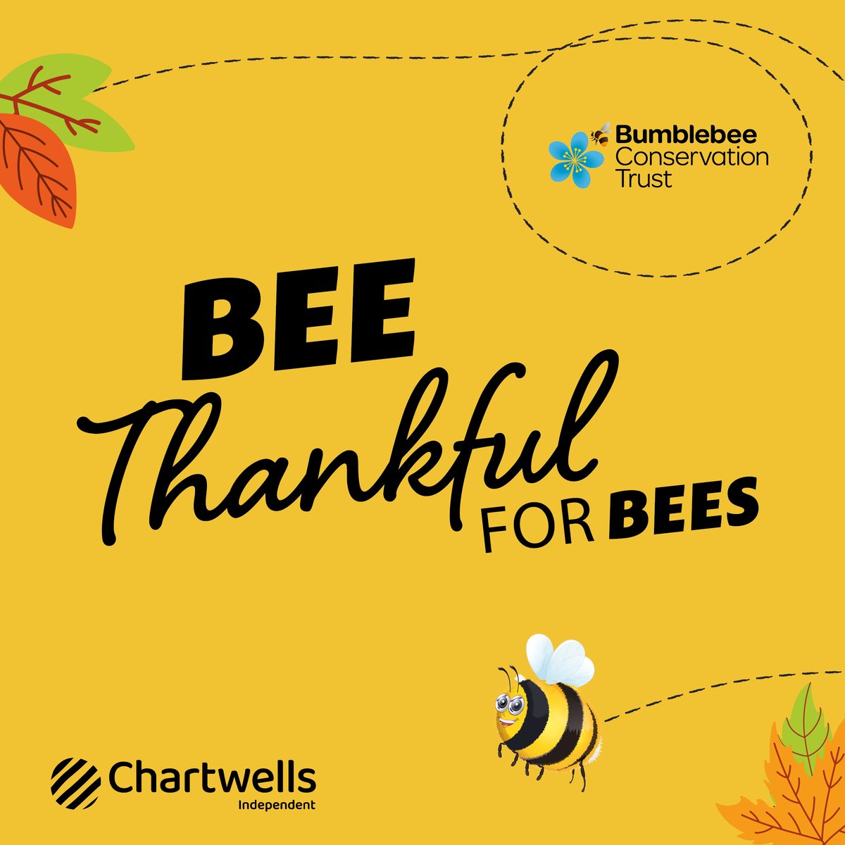 Alongside @BumblebeeTrust, we'll be appreciating Bumblebees by serving a special bee-themed menu next week! Crafted by @AllegraMcEvedy using bee-pollinated ingredients, this experience will allow our pupils to learn about the role of bumblebees in food production. #BeeThankful