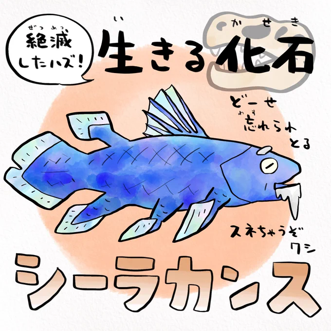 シーラカンスが絶滅しなかった理由シンプルすぎ 