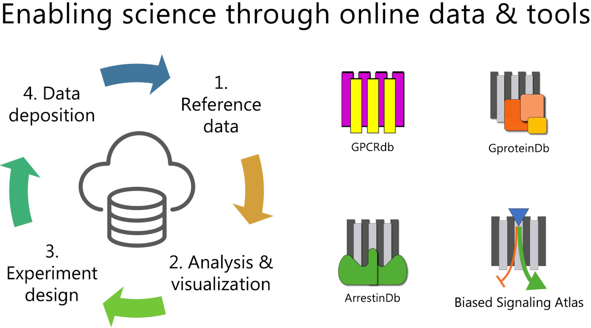 New online data and tool resources for basic research and #drugdesign on #GPCR and signaling proteins funded by Infrastructure grant from <a href="/novonordiskfond/">Novo Nordisk Foundation</a>. Keep an eye out for GPCRdb, GproteinDb, ArrestinDb and BiasedSignalingAtlas and new databases. #DataScience <a href="/DrGPCR/">DrGPCR</a>