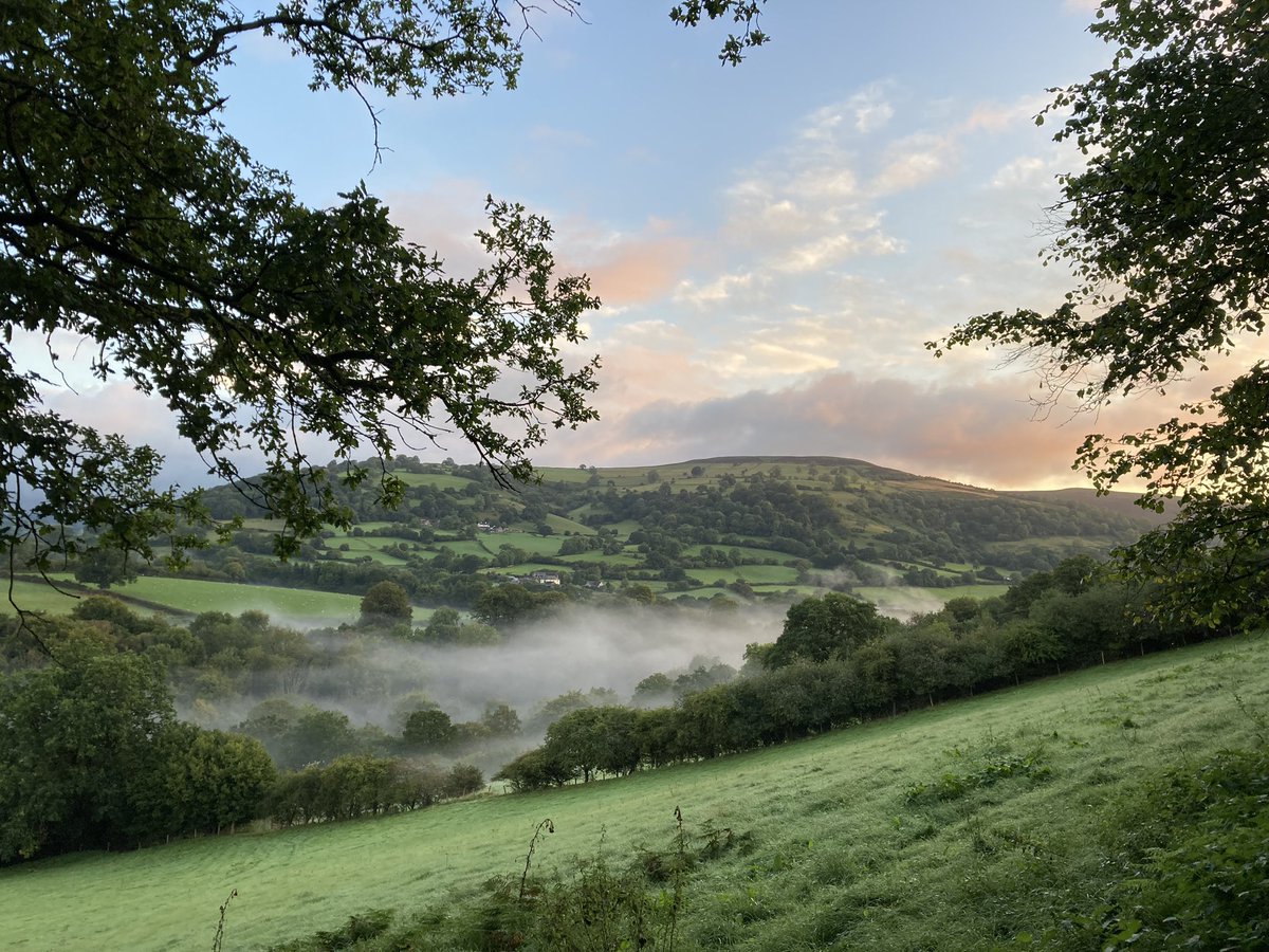 Ty Carreg tweet media