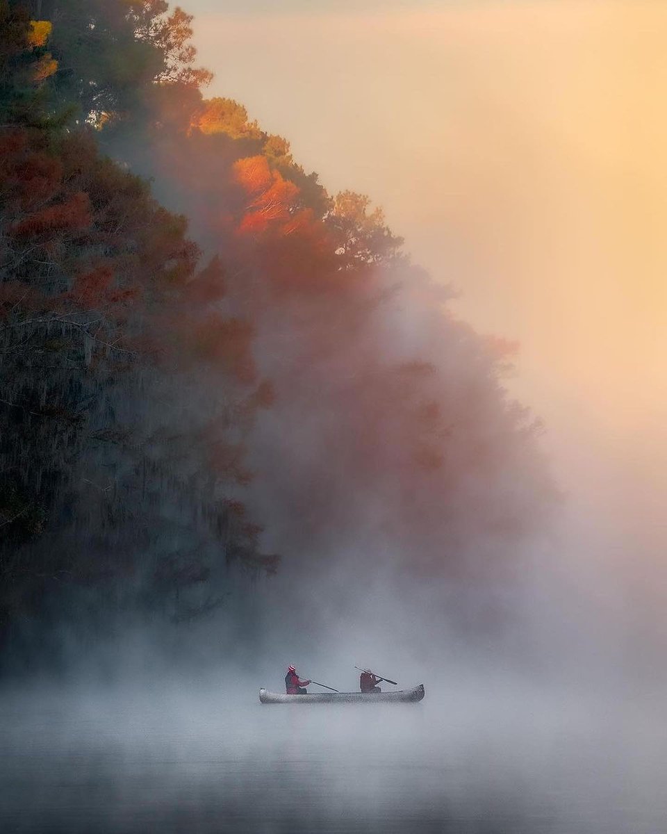 Can’t wait for these gorgeous fall colors in the East Texas Swamps 🛶 🐊 ✨😍🍁✨ 
#alaska ⁣
#hiking ⁣
#travel ⁣
#alaskan ⁣
#wildlife ⁣
#travelbug ⁣
#travelpics ⁣
#travelphoto ⁣
#alaskaliving ⁣
#travelalaska ⁣
#traveldeeper ⁣
#landscapephotographyofinstagram