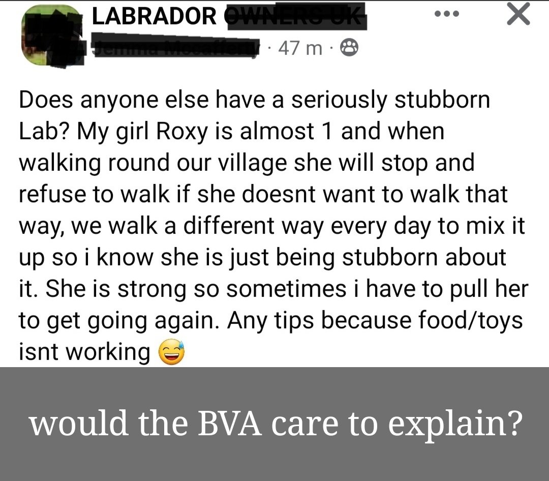 #wheresthesciencethough
There's a saying that labradors are born trained, and have a genetic tendency to always be hungry. So why is positive reinforcement failing here?
<a href="/BritishVets/">BritishVets</a> <a href="/RSPCA_official/">RSPCA (England & Wales)</a> 
<a href="/RishiSunak/">Rishi Sunak</a> <a href="/DailyMirror/">The Mirror</a> <a href="/DefraGovUK/">Defra UK</a> <a href="/Jamiepenrith2/">Jamie penrith</a>
<a href="/BBCPanorama/">BBC Panorama</a>
