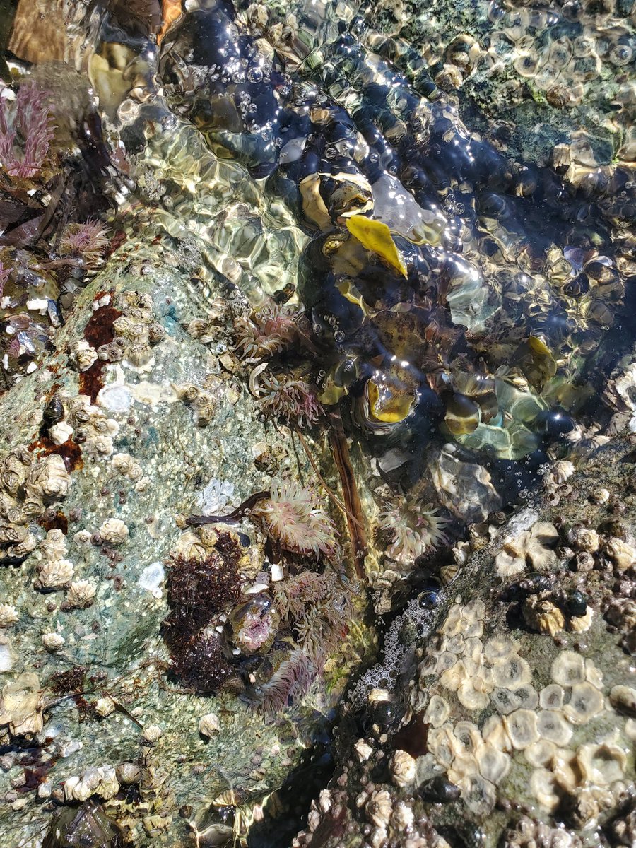 Audrey Huff tweet media