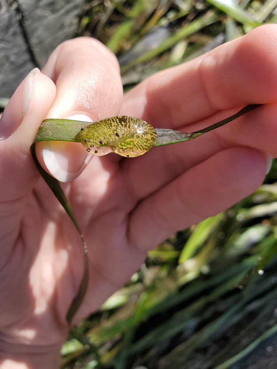 Audrey Huff tweet media