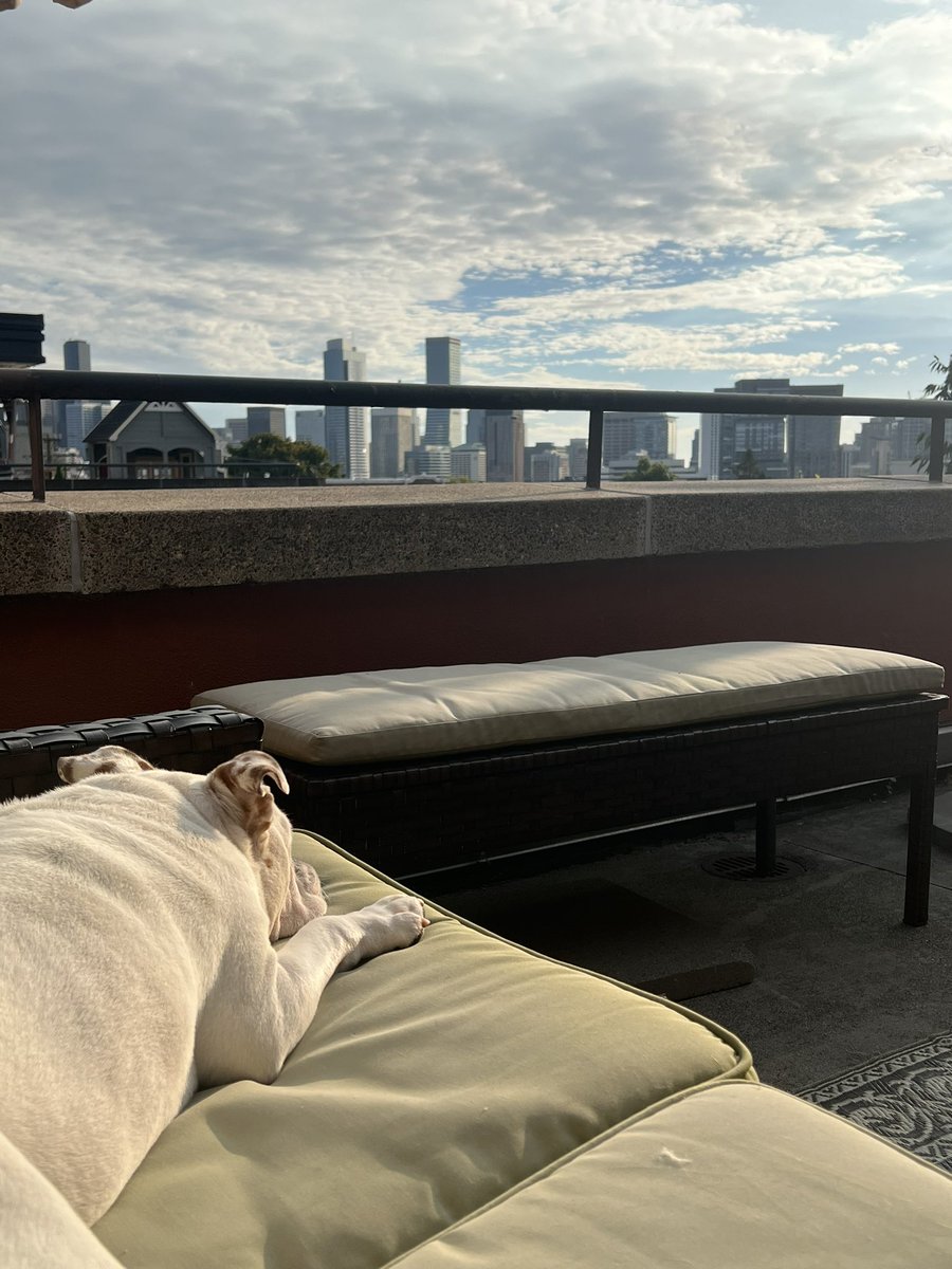 Becca Potts, MD tweet media