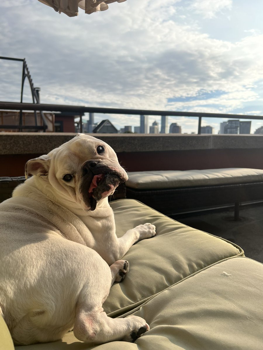 Becca Potts, MD tweet media