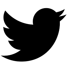 kommander61's tweet photo. La polemica ideologica che è seguita all'incidente di Torino ha segnato, per me, un'importante punto di discontinuità.
È la dimostrazione evidente che ci sono persone disposte a sfruttare qualsiasi occasione, anche la più tragica, per affermare la loro opinione politica e che molti altri, incapaci di percepirne la dimensione paradossale, si precipitano a ingrossare l'orda dei crociati verso il Santo Sepolcro.
La cosa non è collocabile in una parte  precisa. Tutte, chi più chi meno, sono aduse a trarre profitto in termini di visibilità dalla coglionaggine che impera sovrana.
Sì, perché non è colpa del mezzo, dei social in particolare. Sarebbe come dire che se mi acciacco il dito è stata colpa del martello. È proprio che le grandi prove a cui siamo stati sottoposti negli ultimi anni hanno fatto emergere la natura vile, rancorosa, utilitarista, ignorante e psicopatica di molti di noi.
Questo ispira profonde riflessioni sulle finalità costruttive di una relazione basata su questi presupposti. La prima è che questa non è casa mia e non posso (e nemmeno voglio) dettare regole. Se penso che l'ambiente di un locale non sia adatto a me, non pretendo che il locale cambi per adattarsi ai miei gusti. Ci saranno notizie su questa TL per i vecchi amici e per i nuovi che sono interessati. Nel frattempo, buona giornata e grazie a tutte le persone che sono arrivate fino a qui.