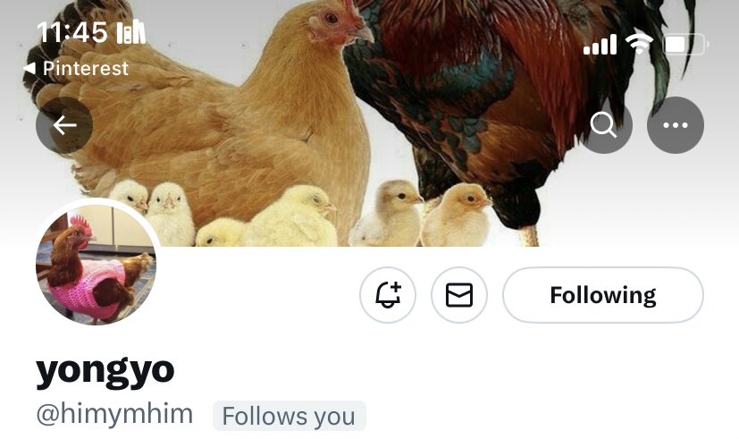 ไก่ใหญ่หัวหน้าครอบครัว เสาหลักของบ้าน