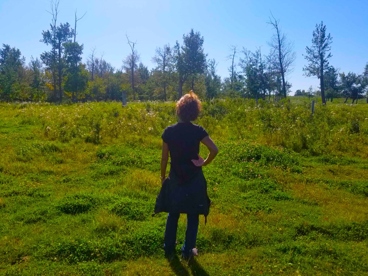 iheartedmonton's tweet photo. A beautiful day in #Tofield! https://t.co/lHvAagDpjj