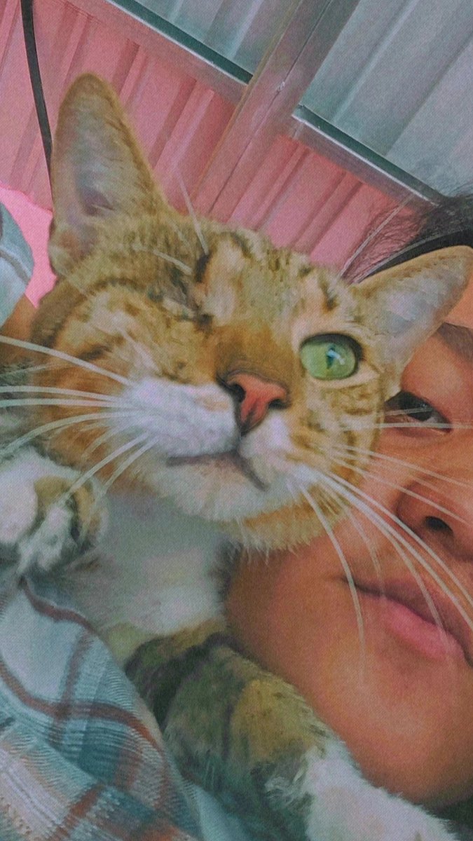 dianaaaa_05's tweet photo. Ahora esta más guapo 🥺❤️ https://t.co/EH6JVznqIa