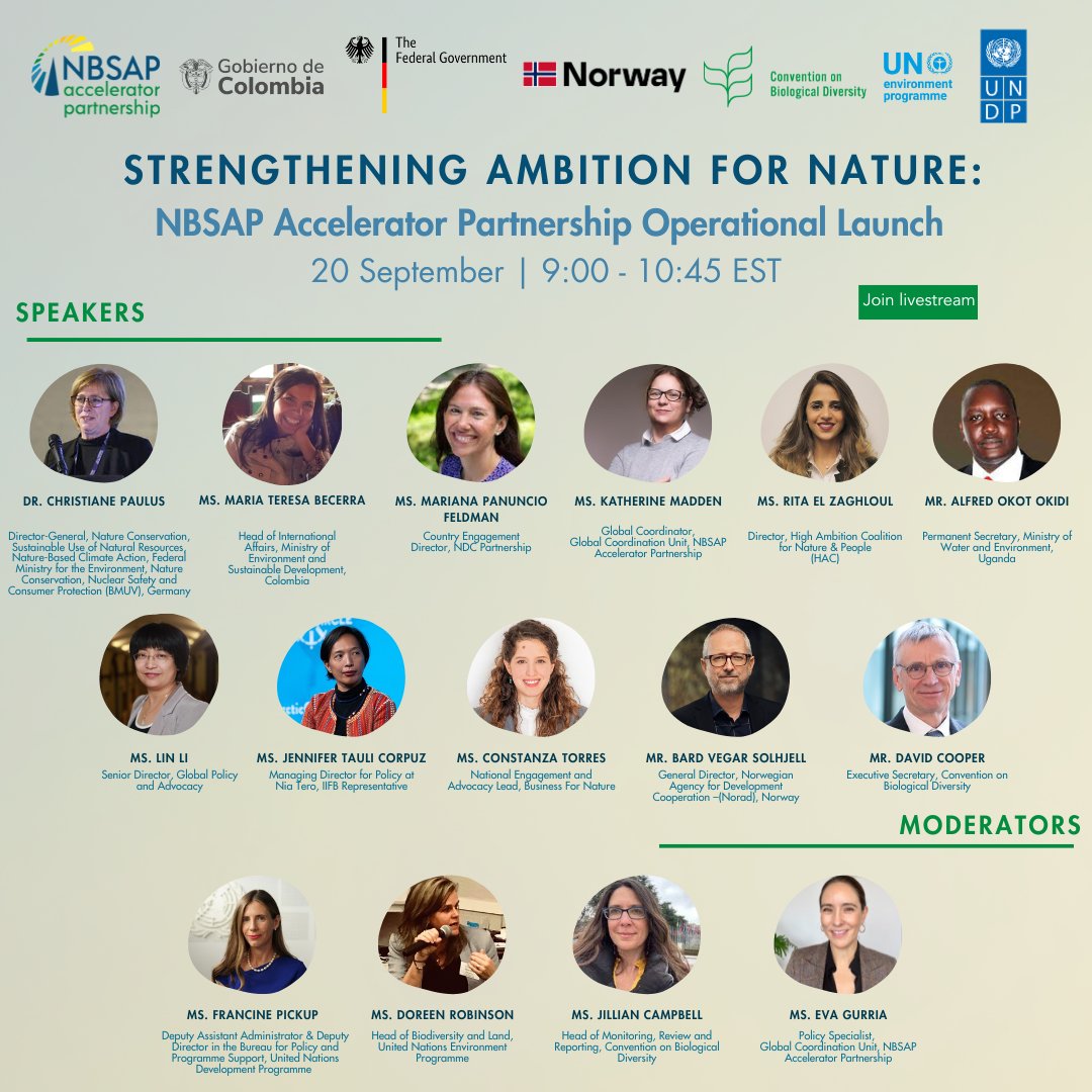 📣Join us at #NaturePositiveHub #ClimateWeekNYC 🌿🗽for the operational launch of the NBSAP Accelerator Partnership, where we’ll discuss the importance of NBSAPs and role of the NBSAP Accelerator Partnership: 

📅 20 Sep
⏱️ 9 am ET
📍bit.ly/NBSAPAccelerat…

#NBSAPAccelerator