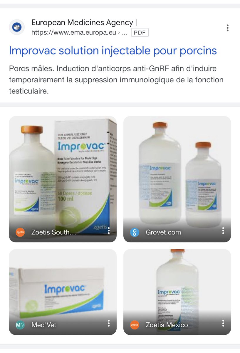 55Bellechasse's tweet photo. Chez Pfizer ils appellent vaccin la castration chimique des porcs et des chevaux

Nom commercial « Improvac »

L’idée est qu’un porc (comme un sanglier) a une viande au goût plus fort que celle de la femelle
Mais si il est castre jeune … pas de problème
Mais les paysans n’aiment pas faire ce geste et dans les grandes fermes ce serait un acte à quasi plein temps (…) donc il ne le font pas

Et bien Pfizer s’est lancé dans ce marché (plus de 125.000.000 porcs chaque année …) et propose avec l’aide de l’UE de rendre la viande de porc plus interessante … par « vaccination »

Ensuite, évidement ils disent que ça n’a pas d’impact sur l’homme et sa fertilité …

J’en doute ?
Car les poules aux hormones ont des conséquences claires sur la puberté des filles (demandez aux américains)
Alors les « vaccins » des porcs, je n’ose même pas imaginer l’impact sur la fertilité des hommes
Évidement … rien à voire avec les statistiques et les courbes de naissance
C’est coïncidence …

J’oubliais … de quelle division au sein de Pfizer vient le patron actuel de la compagnie
Je vous aide : sa formation d’origine est vétérinaire …

En attendant regardez la pub et la littérature
Et ça marche pour tous les animaux … mais évidement comme pfizer dit que ça n’affecte pas les humains … il faut les croire !!!!!