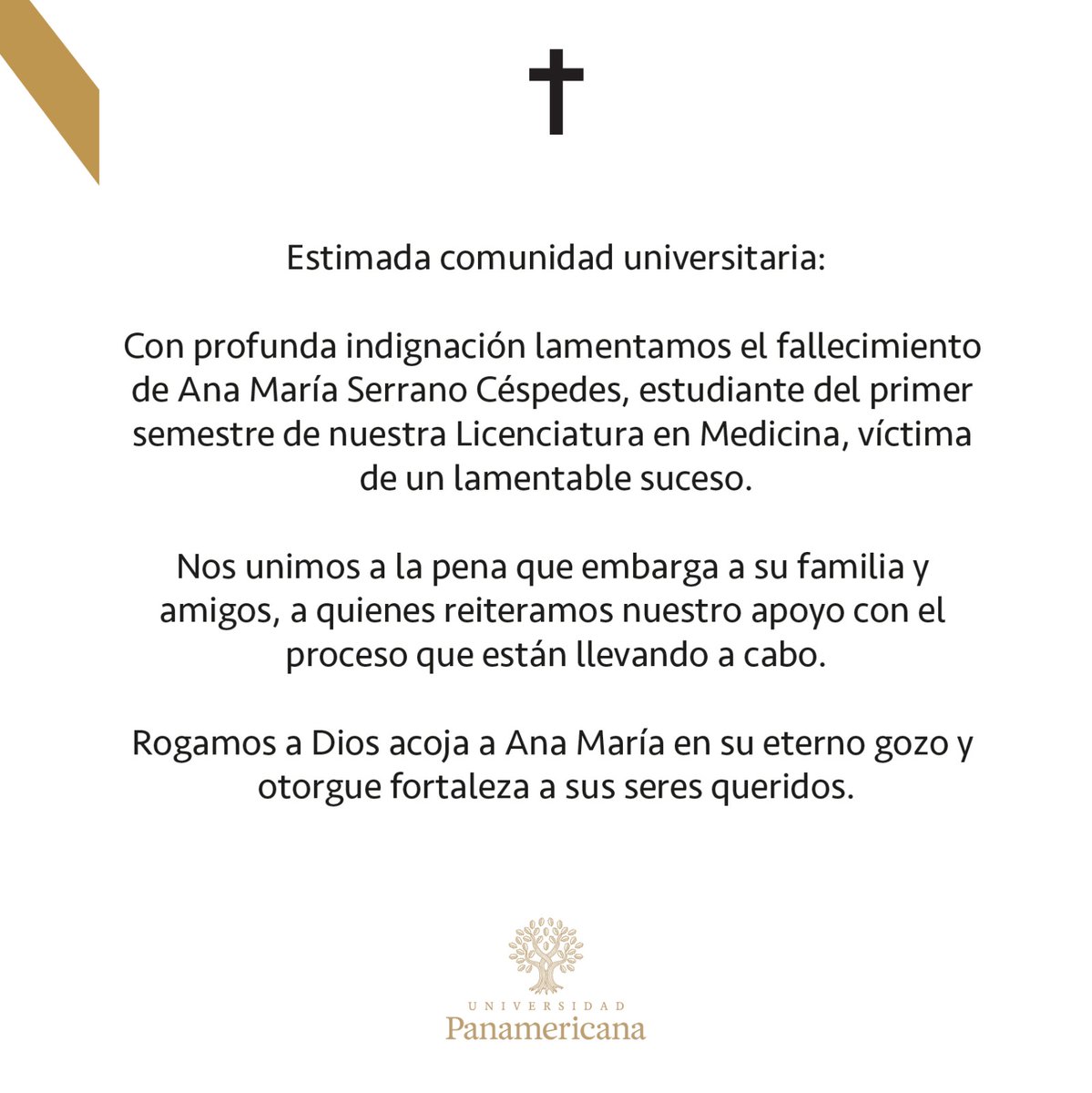 Universidad Panamericana Ciudad de México tweet media