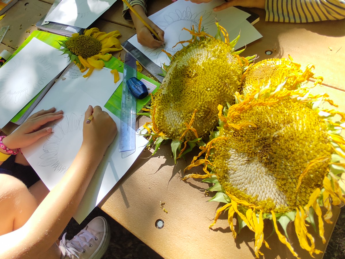 CedricStrapart's tweet photo. 🌱Apprendre dehors, une manière de motiver les élèves et de les engager le tout dans un climat de bien-être.🥰🔎🌻#ClasseDehors #DessinScientifique #FIOregon https://t.co/0PIAeQUyPj