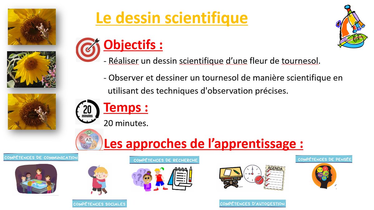 CedricStrapart's tweet photo. 🌱Apprendre dehors, une manière de motiver les élèves et de les engager le tout dans un climat de bien-être.🥰🔎🌻#ClasseDehors #DessinScientifique #FIOregon https://t.co/0PIAeQUyPj