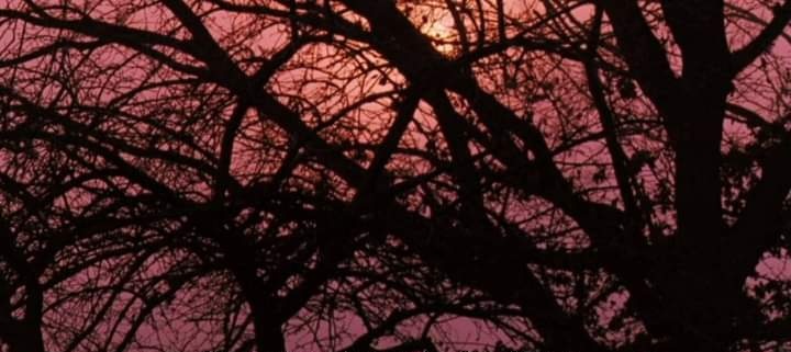 TheCinesthetic tweet picture