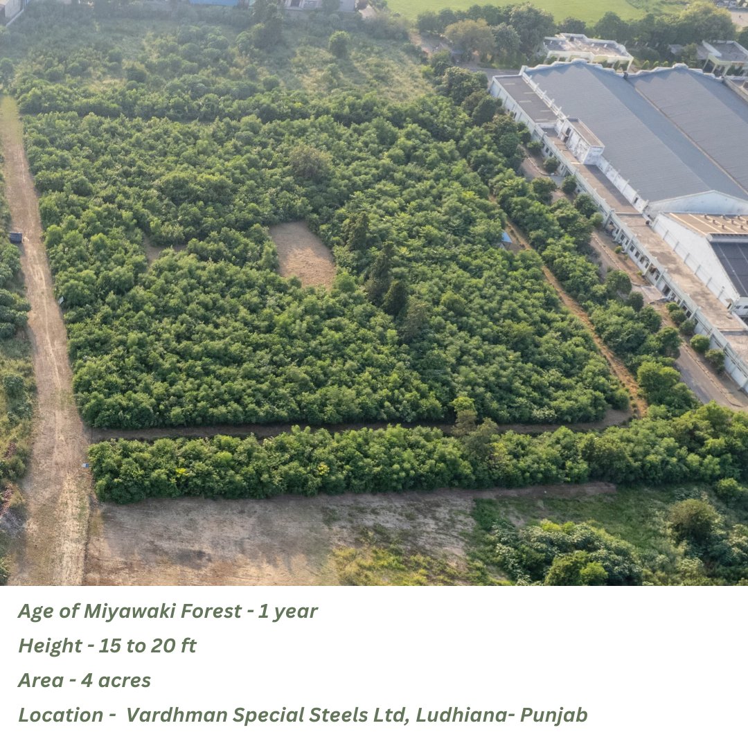 Carpe_Ecosattva's tweet image. The Miyawaki #denseforest planted at @VardhmanSteels in Ludhiana celebrated its 1st B'day!  52,300 saplings of 60 species planted over 4 acres &amp;amp; in 1 year, the average height is 15-20ft! Big Thank You to entire VSSL team for making this Green initiative a success! #ClimateAction