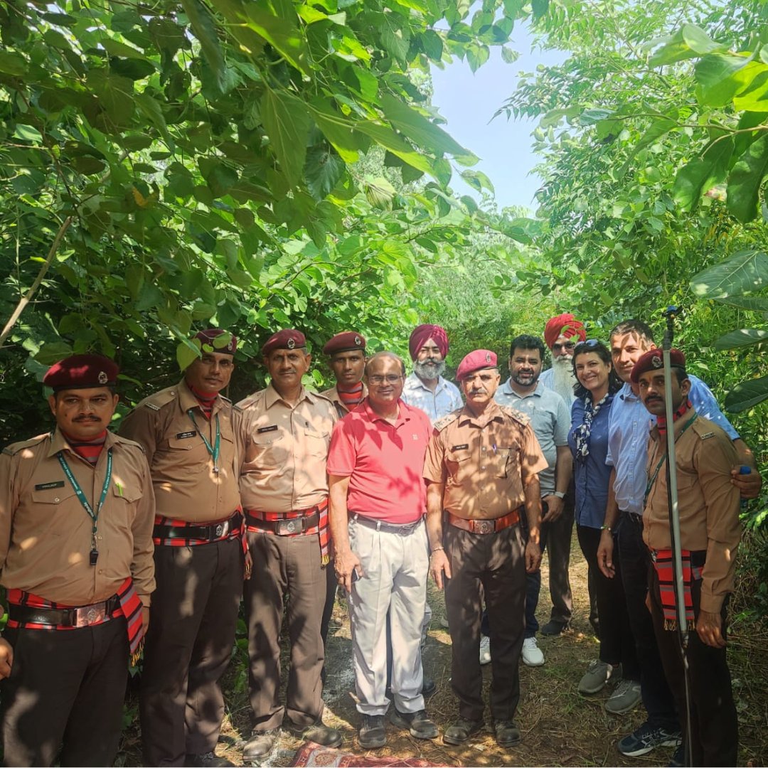 Carpe_Ecosattva's tweet image. The Miyawaki #denseforest planted at @VardhmanSteels in Ludhiana celebrated its 1st B'day!  52,300 saplings of 60 species planted over 4 acres &amp;amp; in 1 year, the average height is 15-20ft! Big Thank You to entire VSSL team for making this Green initiative a success! #ClimateAction
