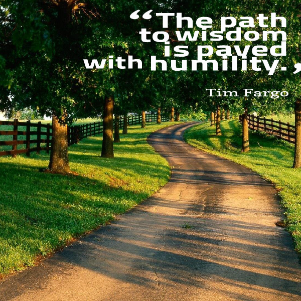 The path to wisdom is paved with humility. - Tim Fargo #quote #dailymotivation