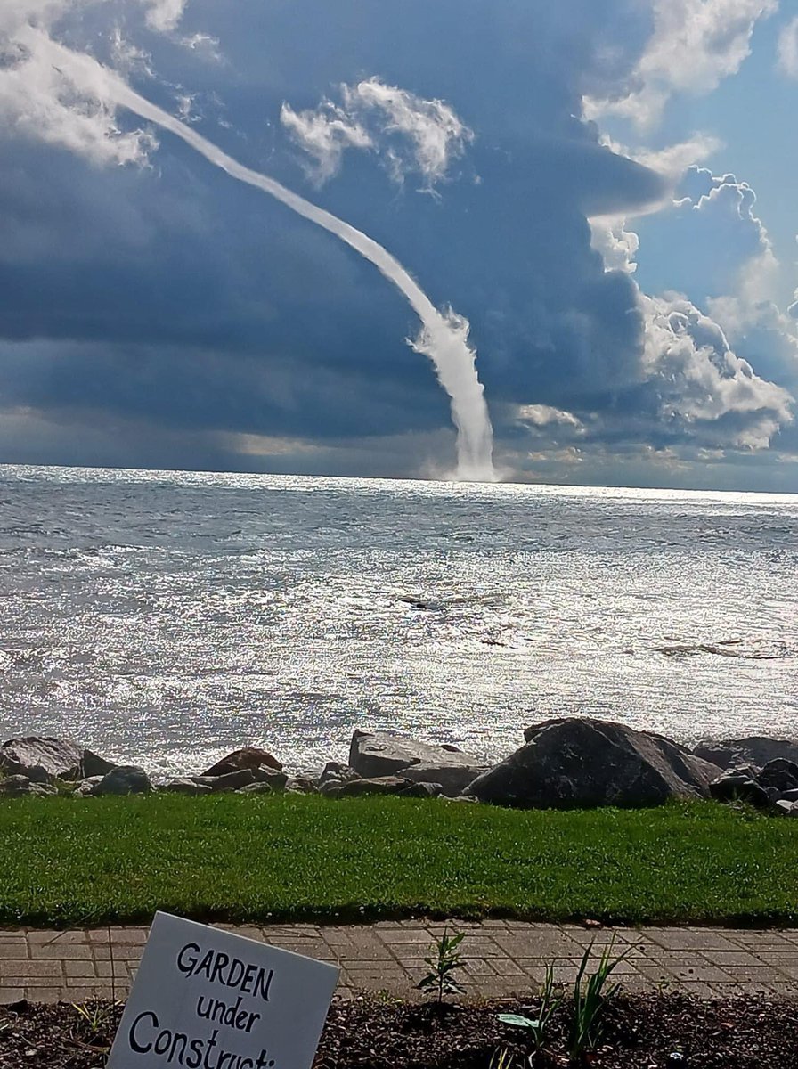 Domenico tweet media