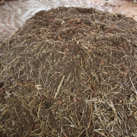 Young Achievers tweet media