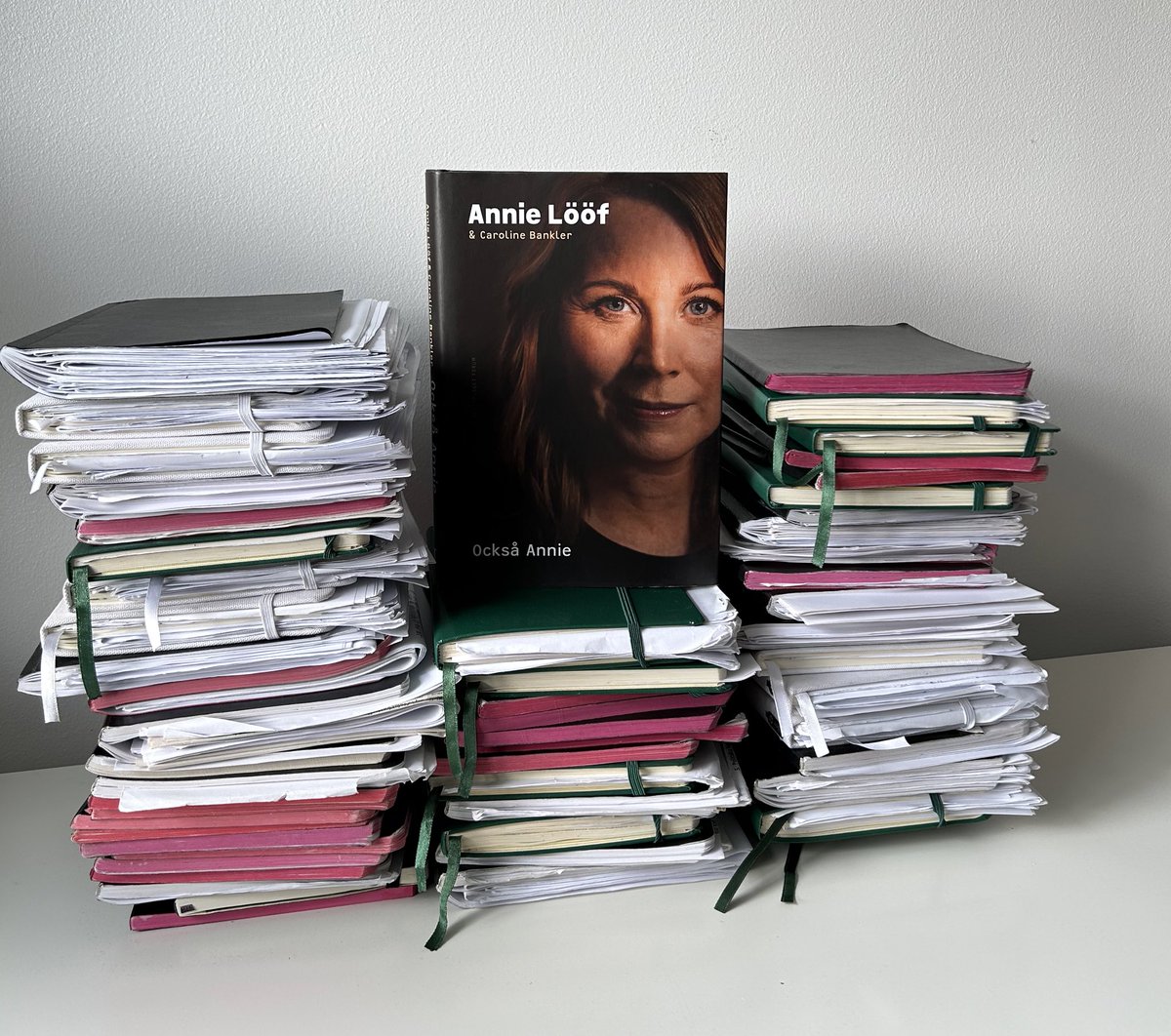 annieloof's tweet photo. Idag är utgivningsdag för boken ”Också Annie”. Det är en personlig bok som tar läsaren bakom kulisserna, rubrikerna och förhandlingarna. 

Jag vill få fler att vilja läsa en politisk självbiografi och därför har jag valt att skriva den med mina känslor, om prövningar och glädje. https://t.co/IHddxDgZuT