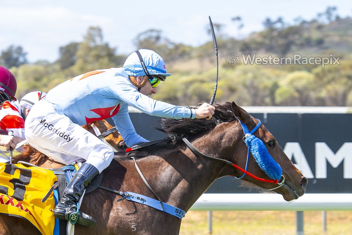 Western Racepix tweet media