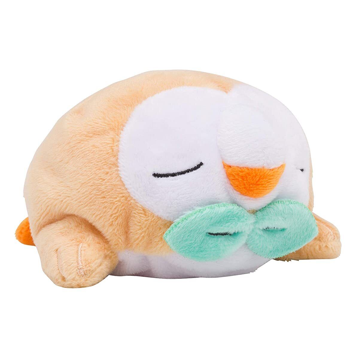 Late night sleeping rowlet