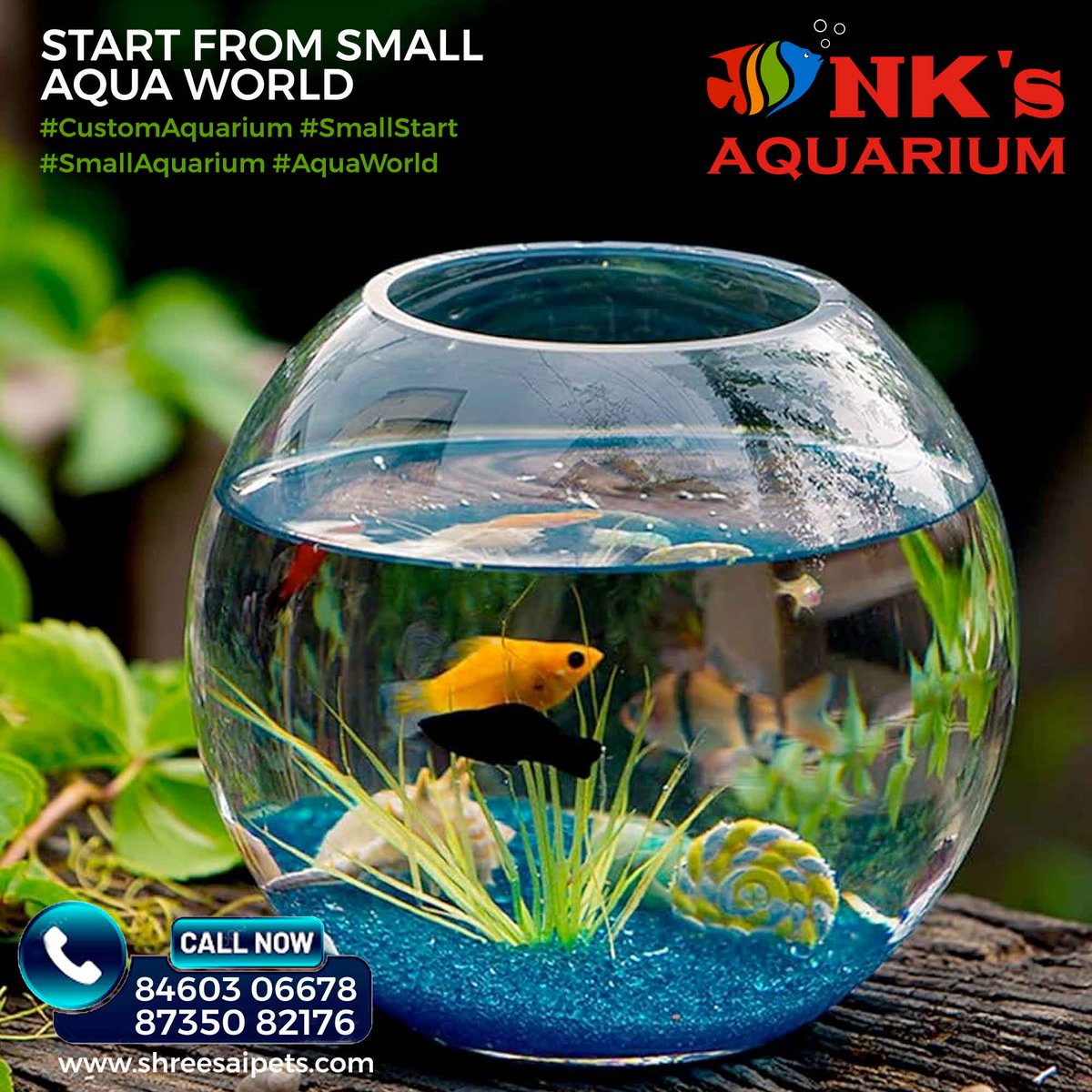 Start from small #AquaWorld!

Call on 8460306678 or 87350 82176
#CustomAquarium #SmallStart #SmallAquarium #AquaWorld #Aquarium #CustomAquarium #HomeAquarium #AquariumPlants #LivePlants #OfficeAquarium #Underwater #UnderwaterWorld #AquariumShop #NKsAquarium #FishShop #Fish