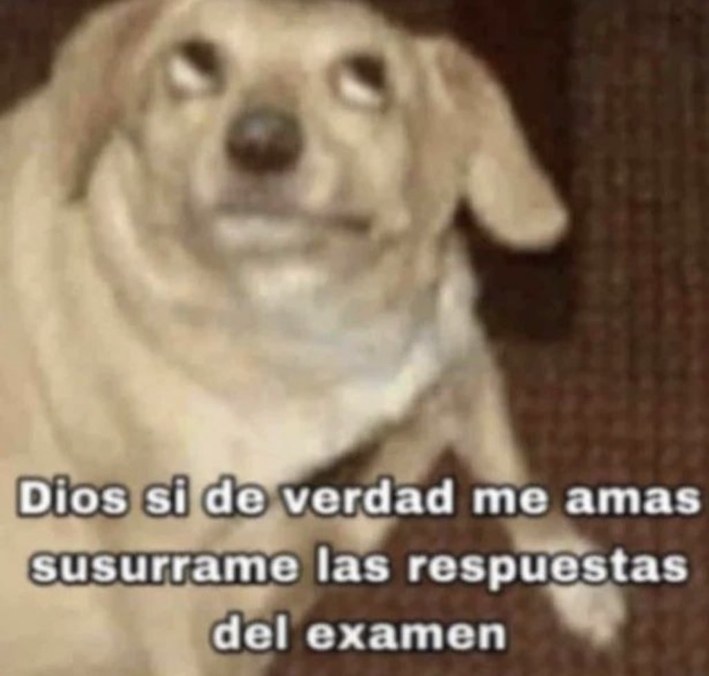 piña sin pizza (@skereunpesado) on Twitter photo 