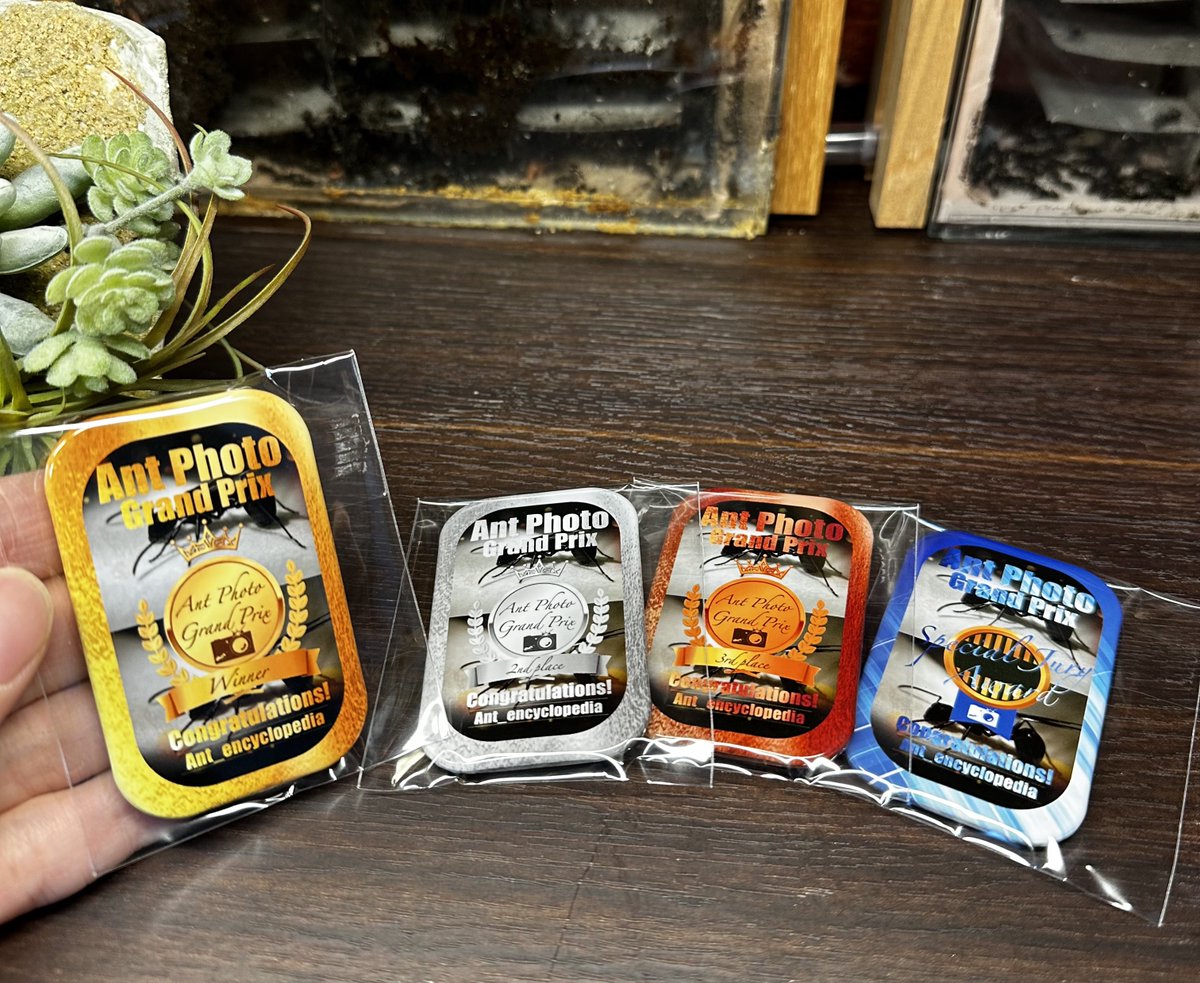 ariuncyclopedia's tweet photo. 🏆賞品の”盾風缶バッジ”届く！
今回の蟻フォトグランプリでは1位、2位、3位、審査員特別賞の計4名の方に盾風缶バッジが贈呈されます👏
蟻フォトグランプリ上位の称号を目指してみなさん頑張って下さい🐜

※賞品の無かった第1~2回大会の上位の方々にもこれから贈らせて頂きます！ https://t.co/0JkBRUYPjm
