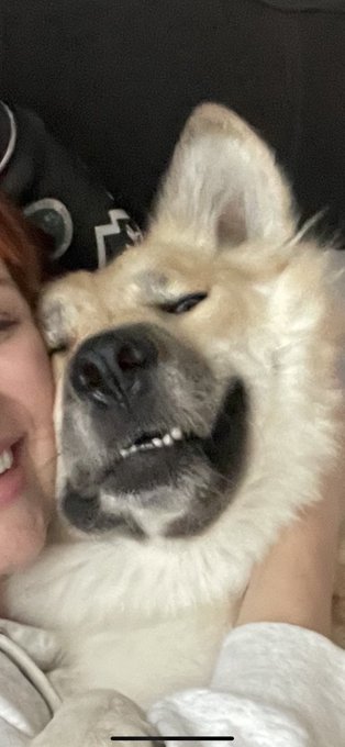 You guys! On my way to adopt a dog this morning I pulled out of my neighborhood and saw a dog running<a href="/tag/toronto"class="tags"><span>#toronto</span></a><a href="/tag/canada"class="tags"><span>#canada</span></a><a href="/tag/kingstreet"class="tags"><span>#kingstreet</span></a>