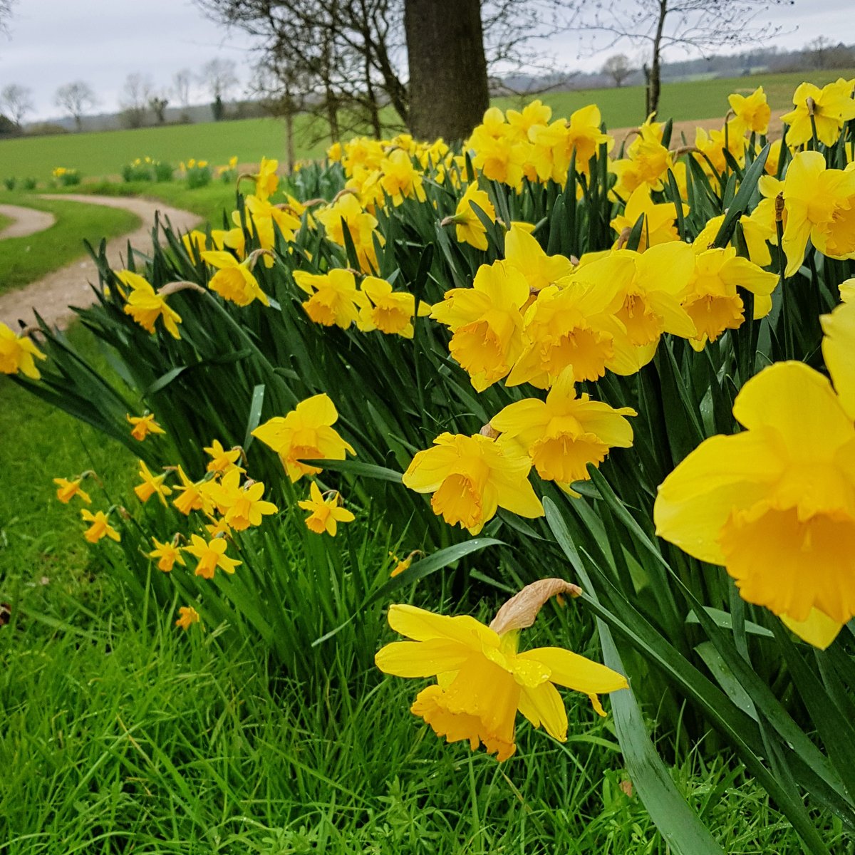 Dalefoot Composts tweet media