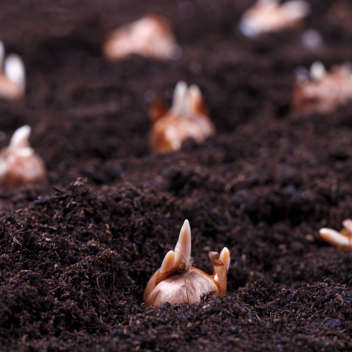 Dalefoot Composts tweet media