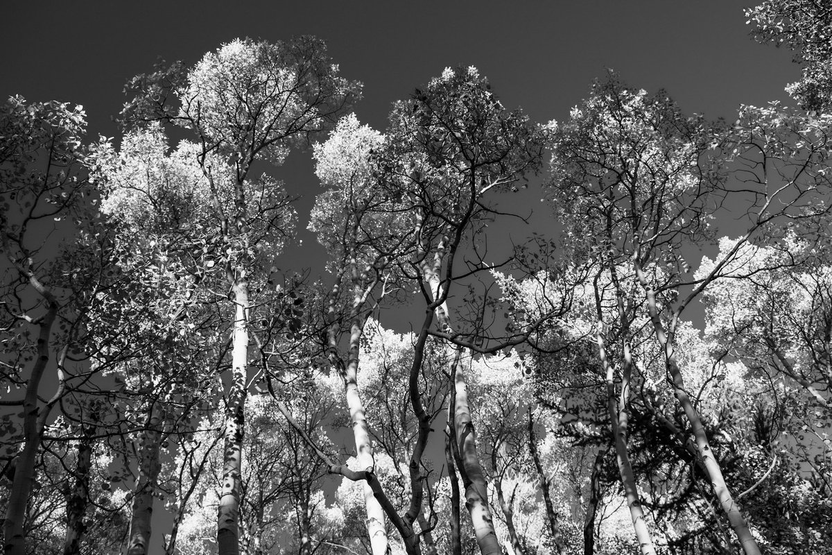 Heather N. Stout tweet media