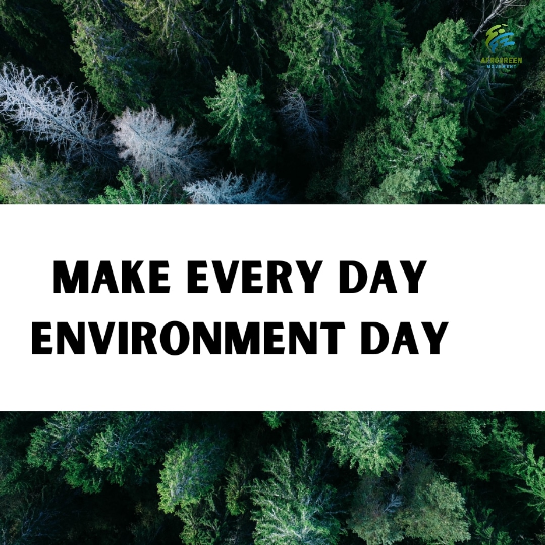 Afrogreen_'s tweet photo. 🌍 Every day is Environment Day! 🌿 Let's make sustainable choices and protect our planet for future generations. #EverydayEnvironment #Sustainability #ProtectOurPlanet #GreenLiving #ClimateActionNow https://t.co/PjCF8PXOLX