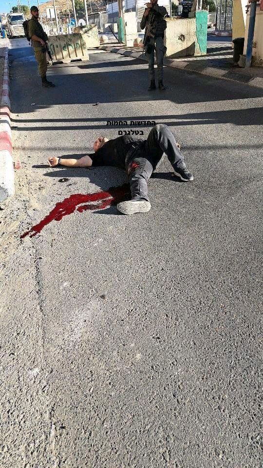 paldf's tweet photo. عاجل | جنود الاحتلال يطلقون النار قبل قليل صوب شاب بحجة تنفيذ عملية طعن على حاجز مزمورية جنوبي القدس المحتلة. https://t.co/l4iwqGP0sL