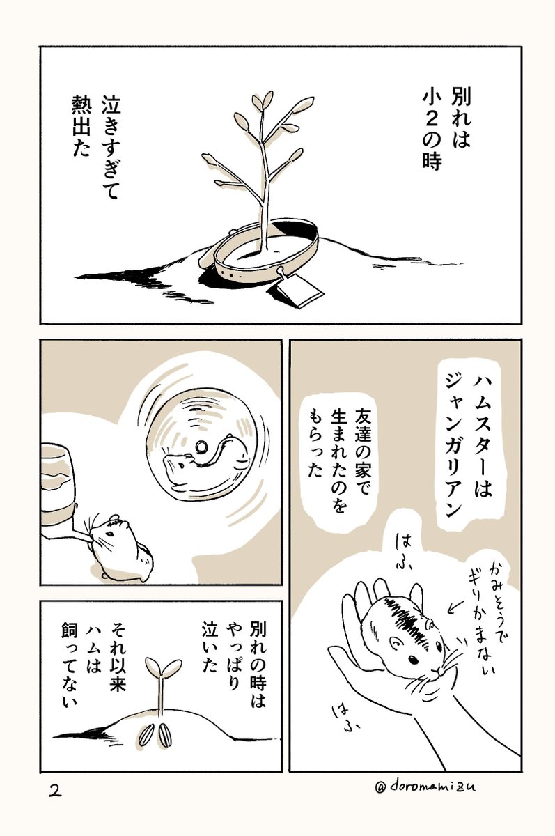あるザリガニの死 