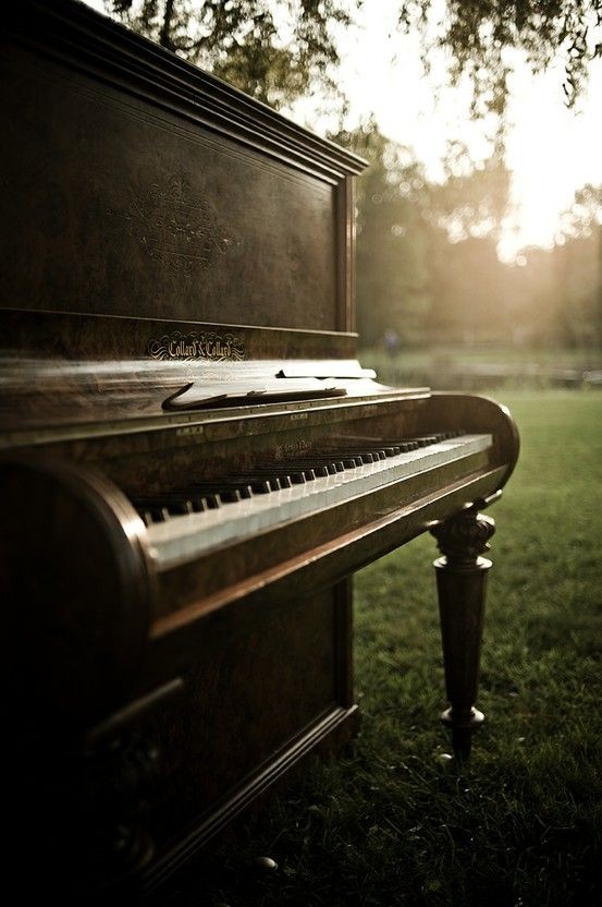 Sabine2577's tweet photo. La vie est comme un piano, il ya le noir et le blanc et il faut jouer les deux pour avoir une belle mélodie. https://t.co/Y6AXvvu7RY
