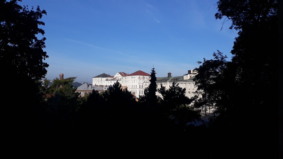 Petr Svoboda tweet media