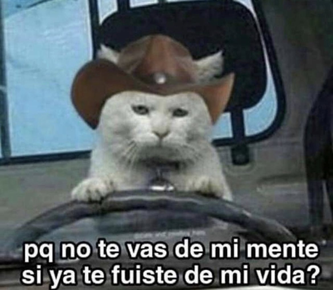 Marrpachec's tweet photo. Bueno eh! https://t.co/tqbCpFAq12