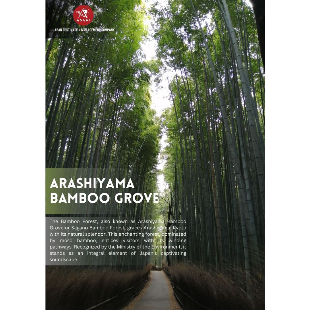 AsahiTravel's tweet photo. Enter the Enchanting Realm of Arashiyama Bamboo Groves! 🎋🇯🇵 Lose yourself in the serene beauty of Kyoto's iconic bamboo forest, a surreal landscape that beckons you to experience nature's tranquillity like never before. #ArashiyamaBambooGroves #KyotoWonders #UnforgettableJourney https://t.co/hCuXiN70J0